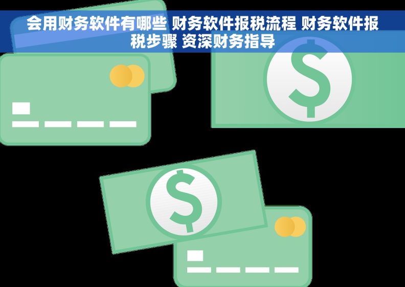 会用财务软件有哪些 财务软件报税流程 财务软件报税步骤 资深财务指导 会用财务软件有哪些 财务软件报税流程 财务软件报税步骤 资深财务指导