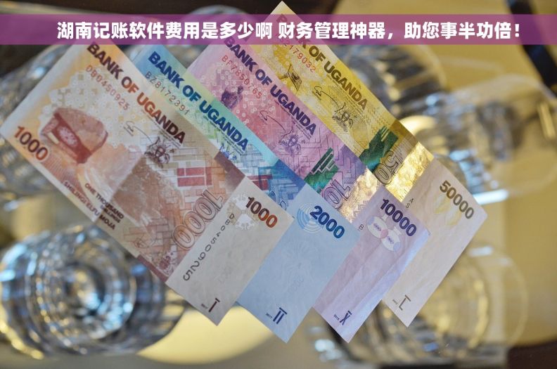     湖南记账软件费用是多少啊 财务管理神器，助您事半功倍！