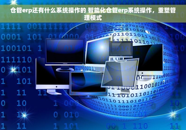 仓管erp还有什么系统操作的 智能化仓管erp系统操作，重塑管理模式