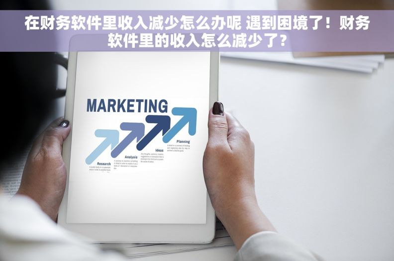在财务软件里收入减少怎么办呢 遇到困境了！财务软件里的收入怎么减少了？