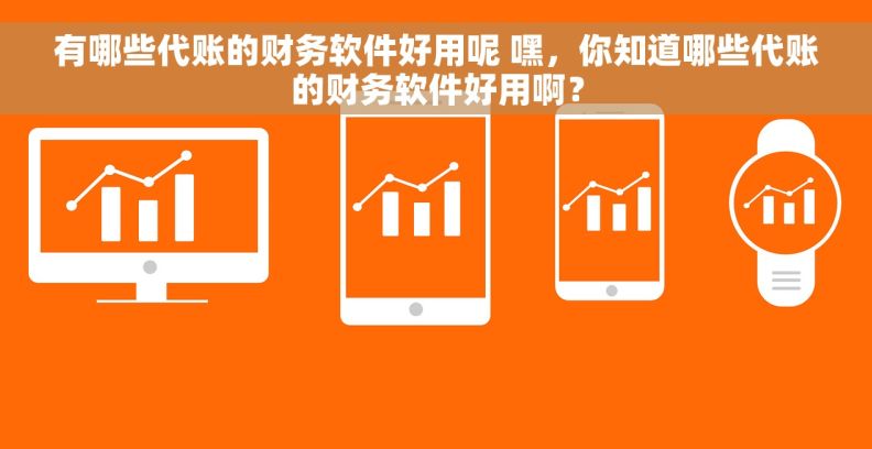 有哪些代账的财务软件好用呢 嘿，你知道哪些代账的财务软件好用啊？