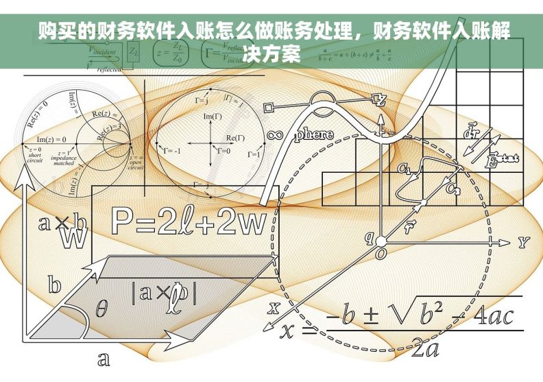  购买的财务软件入账怎么做账务处理，财务软件入账解决方案