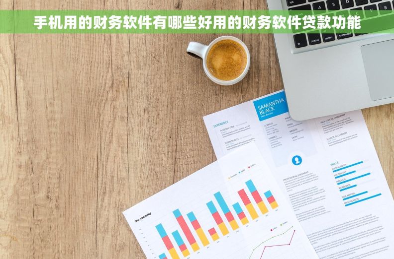 手机用的财务软件有哪些好用的财务软件贷款功能