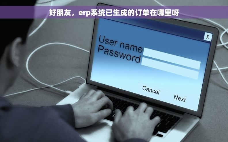 好朋友，erp系统已生成的订单在哪里呀