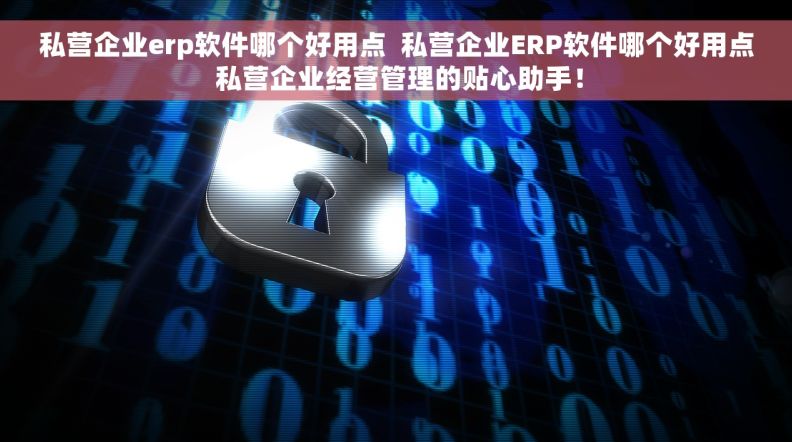 私营企业erp软件哪个好用点  私营企业ERP软件哪个好用点 私营企业经营管理的贴心助手！