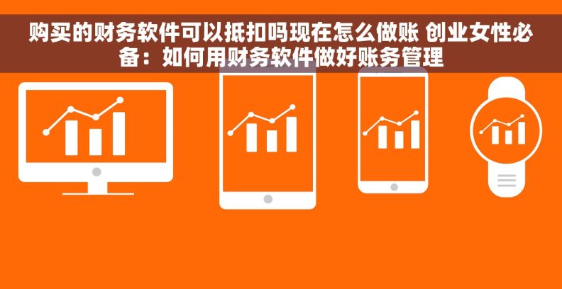 购买的财务软件可以抵扣吗现在怎么做账 创业女性必备：如何用财务软件做好账务管理
