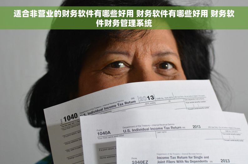 适合非营业的财务软件有哪些好用 财务软件有哪些好用 财务软件财务管理系统