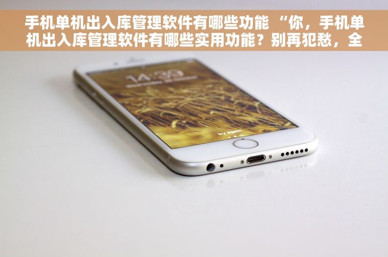 手机单机出入库管理软件有哪些功能 “你，手机单机出入库管理软件有哪些实用功能？别再犯愁，全都在这！”