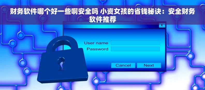财务软件哪个好一些啊安全吗 小资女孩的省钱秘诀：安全财务软件推荐