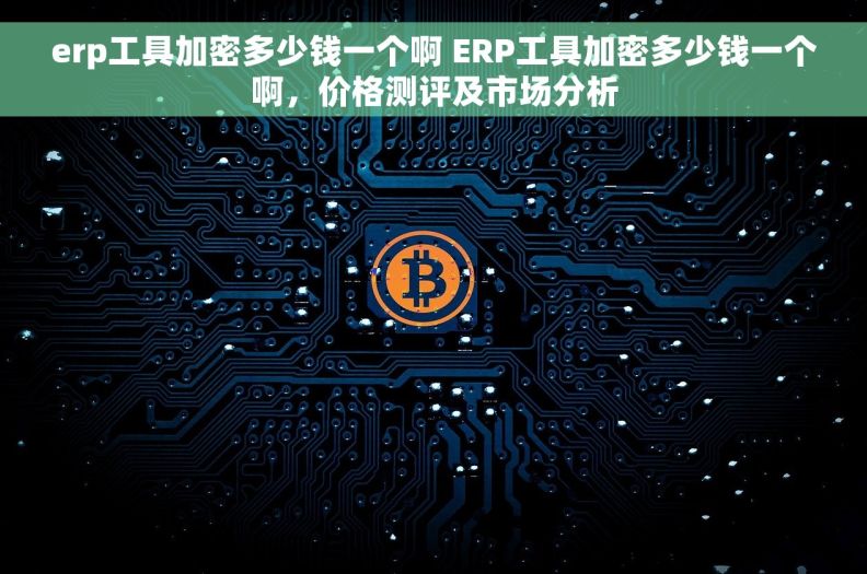 erp工具加密多少钱一个啊 ERP工具加密多少钱一个啊，价格测评及市场分析