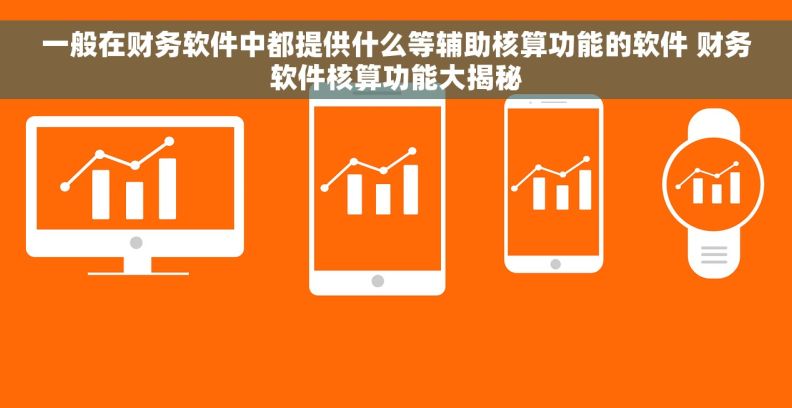 一般在财务软件中都提供什么等辅助核算功能的软件 财务软件核算功能大揭秘