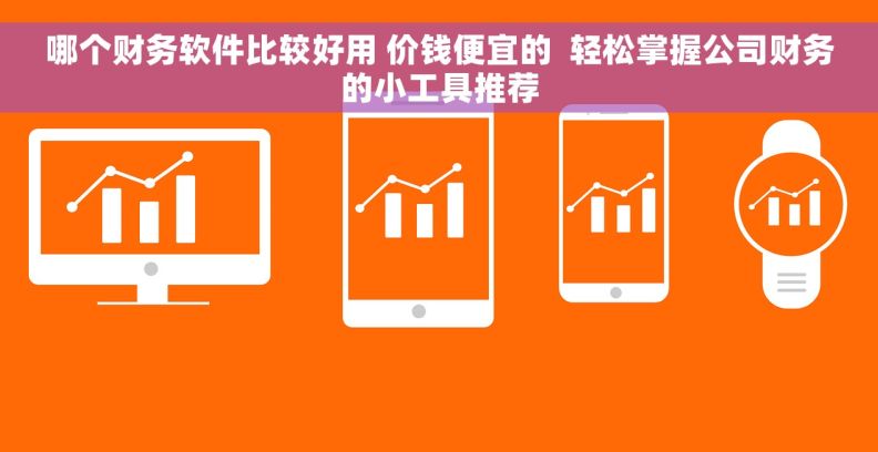 哪个财务软件比较好用 价钱便宜的  轻松掌握公司财务的小工具推荐