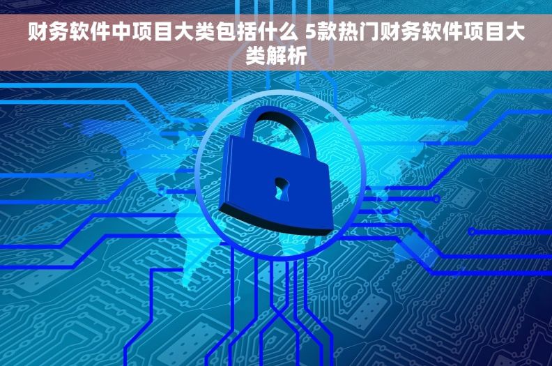 财务软件中项目大类包括什么 5款热门财务软件项目大类解析