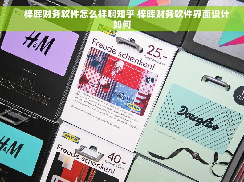     梓晖财务软件怎么样啊知乎 梓晖财务软件界面设计如何