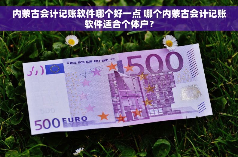 内蒙古会计记账软件哪个好一点 哪个内蒙古会计记账软件适合个体户？