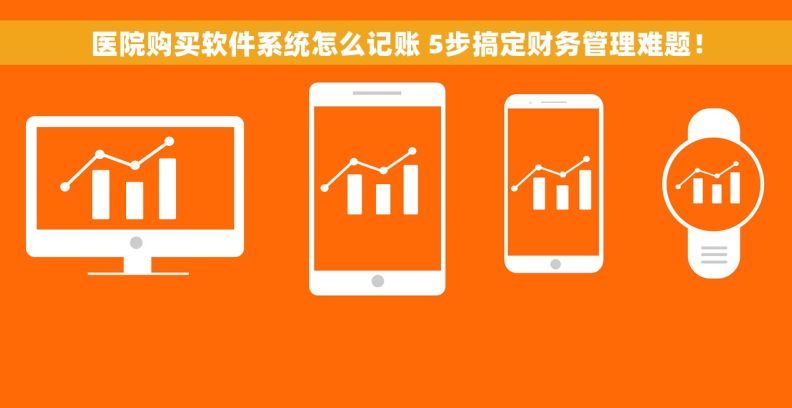 医院购买软件系统怎么记账 5步搞定财务管理难题！