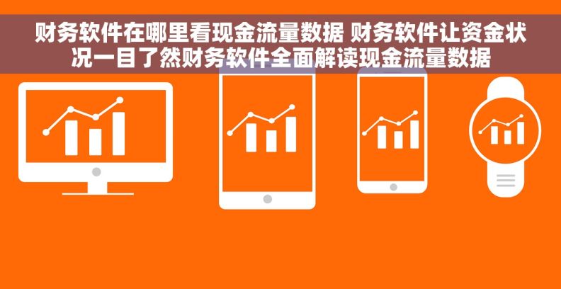 财务软件在哪里看现金流量数据 财务软件让资金状况一目了然财务软件全面解读现金流量数据