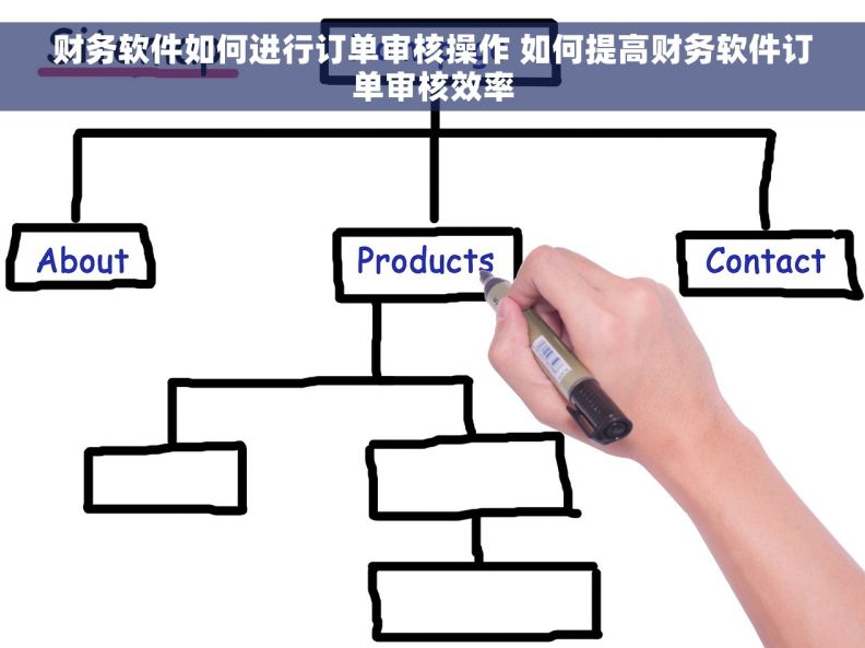 财务软件如何进行订单审核操作 如何提高财务软件订单审核效率
