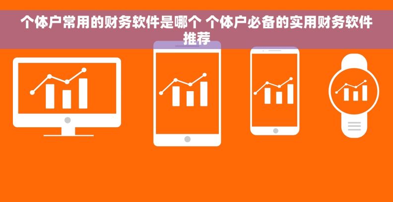 个体户常用的财务软件是哪个 个体户必备的实用财务软件推荐