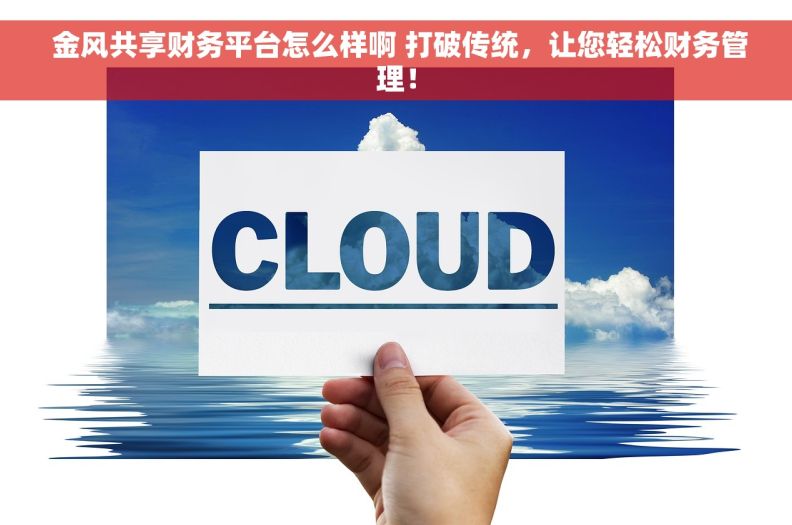  金风共享财务平台怎么样啊 打破传统，让您轻松财务管理！