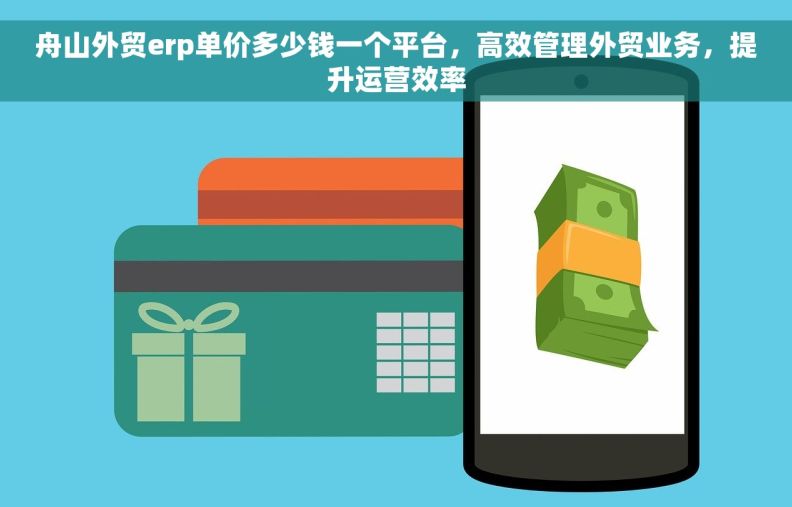 舟山外贸erp单价多少钱一个平台，高效管理外贸业务，提升运营效率