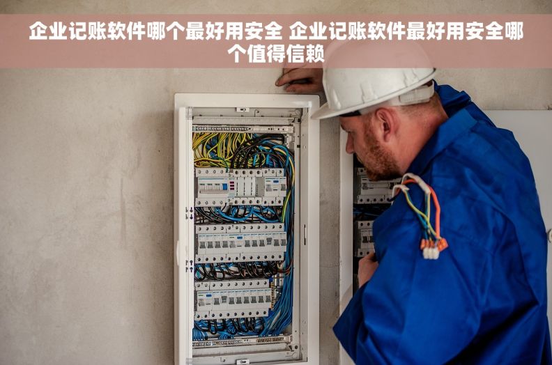 企业记账软件哪个最好用安全 企业记账软件最好用安全哪个值得信赖