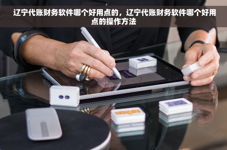 辽宁代账财务软件哪个好用点的，辽宁代账财务软件哪个好用点的操作方法