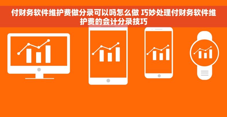 付财务软件维护费做分录可以吗怎么做 巧妙处理付财务软件维护费的会计分录技巧