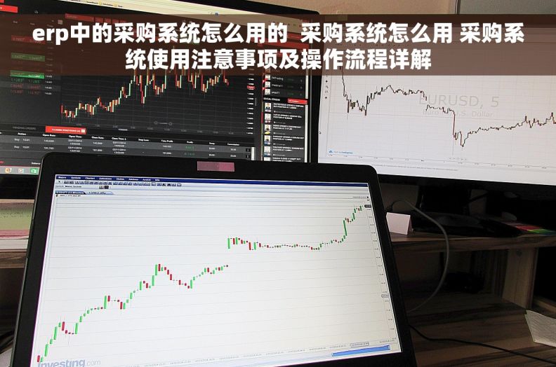 erp中的采购系统怎么用的  采购系统怎么用 采购系统使用注意事项及操作流程详解