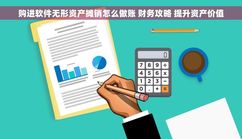 购进软件无形资产摊销怎么做账 财务攻略 提升资产价值