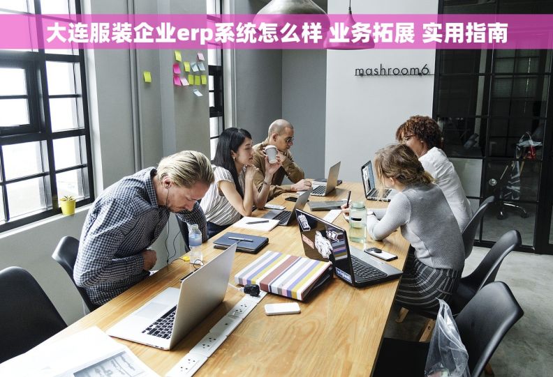 大连服装企业erp系统怎么样 业务拓展 实用指南