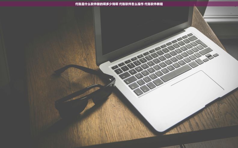 代账是什么软件做的啊多少钱啊 代账软件怎么操作 代账软件教程