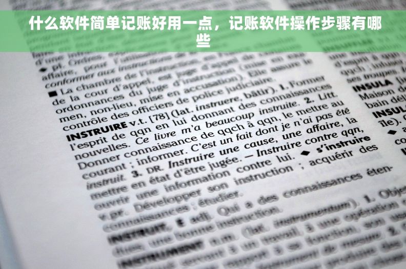  什么软件简单记账好用一点，记账软件操作步骤有哪些
