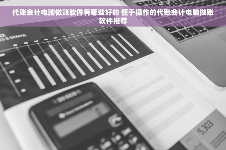代账会计电脑做账软件有哪些好的 便于操作的代账会计电脑做账软件推荐