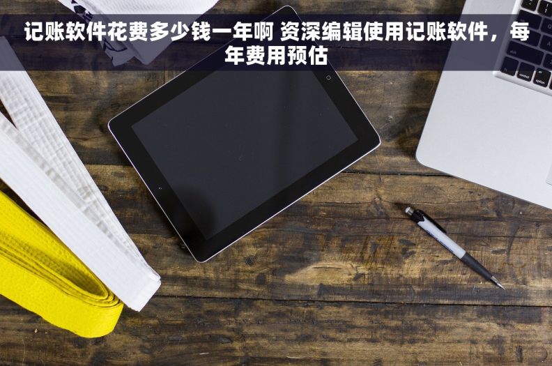 记账软件花费多少钱一年啊 资深编辑使用记账软件，每年费用预估