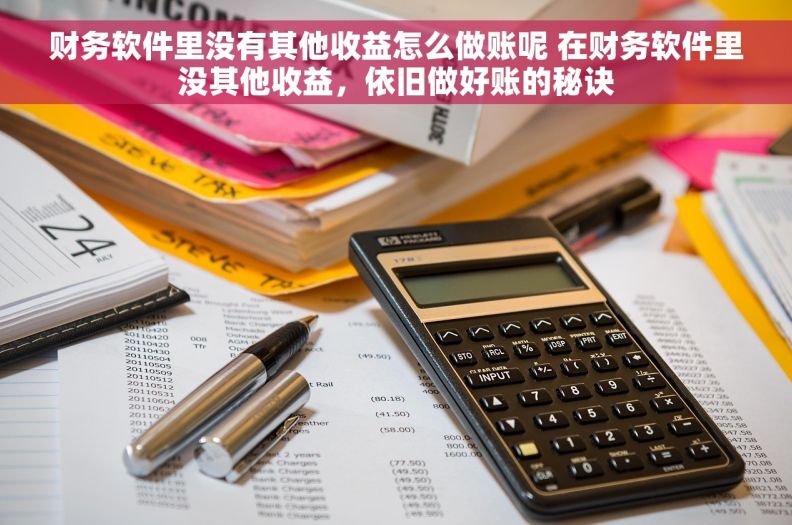 财务软件里没有其他收益怎么做账呢 在财务软件里没其他收益，依旧做好账的秘诀