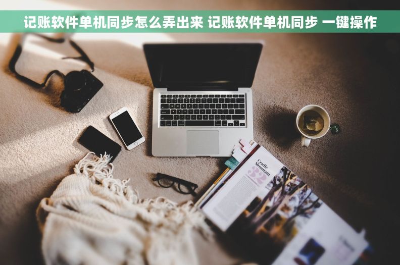 记账软件单机同步怎么弄出来 记账软件单机同步 一键操作