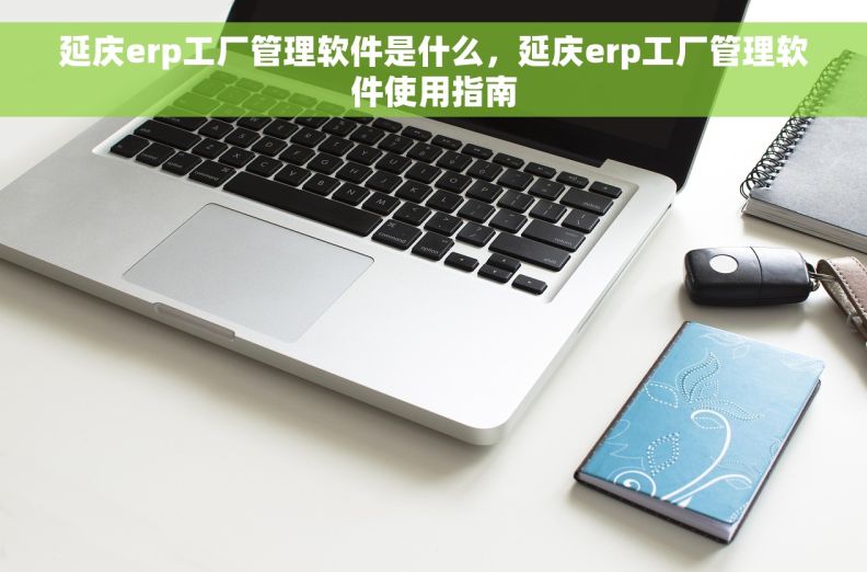 延庆erp工厂管理软件是什么，延庆erp工厂管理软件使用指南
