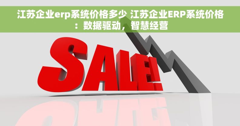 江苏企业erp系统价格多少 江苏企业ERP系统价格：数据驱动，智慧经营