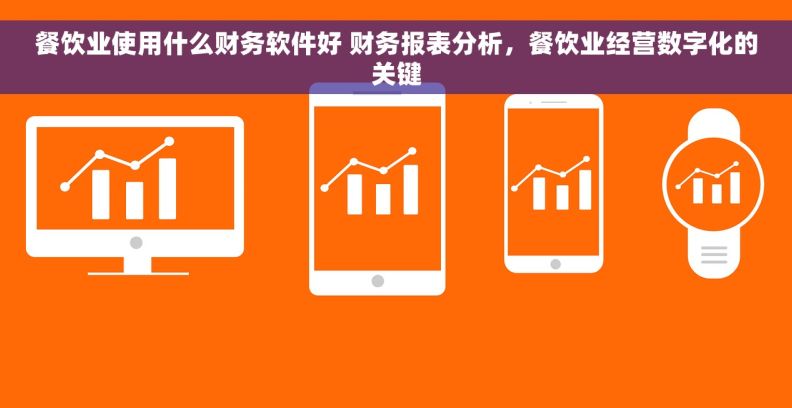 餐饮业使用什么财务软件好 财务报表分析，餐饮业经营数字化的关键