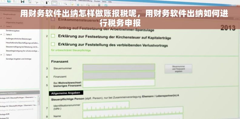     用财务软件出纳怎样做账报税呢，用财务软件出纳如何进行税务申报