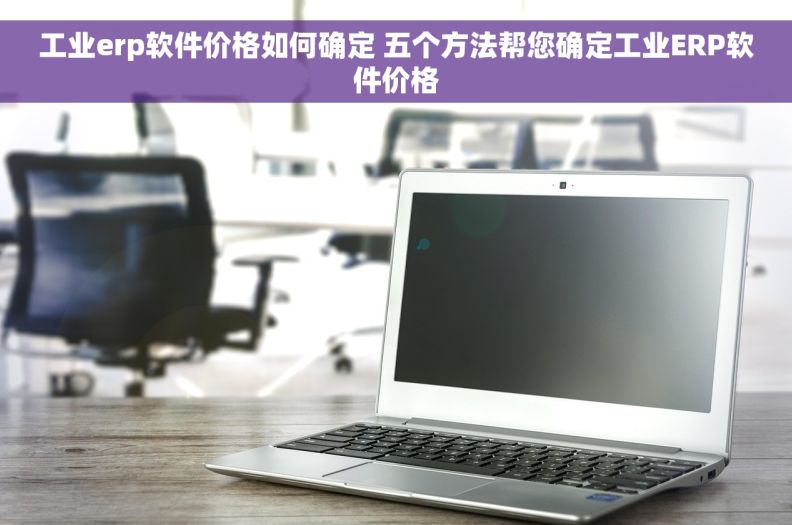 工业erp软件价格如何确定 五个方法帮您确定工业ERP软件价格
