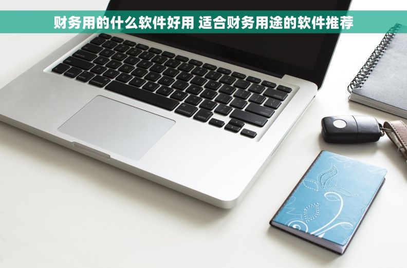 财务用的什么软件好用 适合财务用途的软件推荐