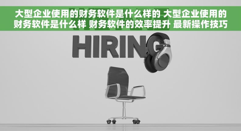 大型企业使用的财务软件是什么样的 大型企业使用的财务软件是什么样 财务软件的效率提升 最新操作技巧