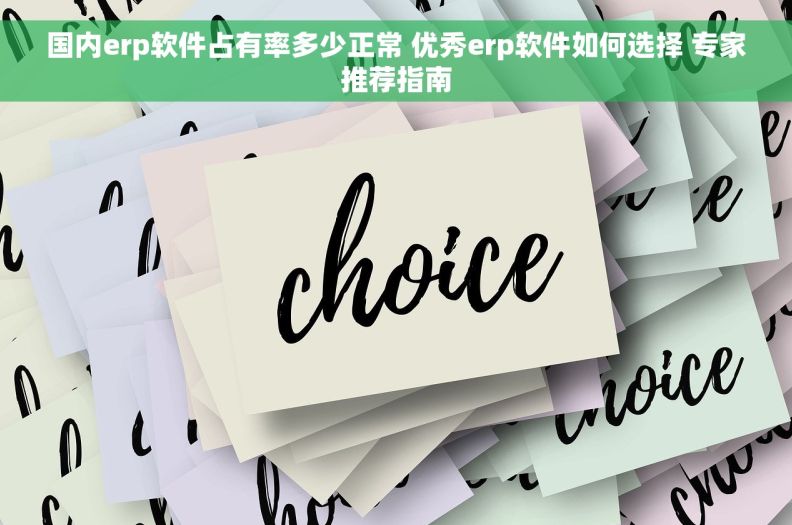 国内erp软件占有率多少正常 优秀erp软件如何选择 专家推荐指南
