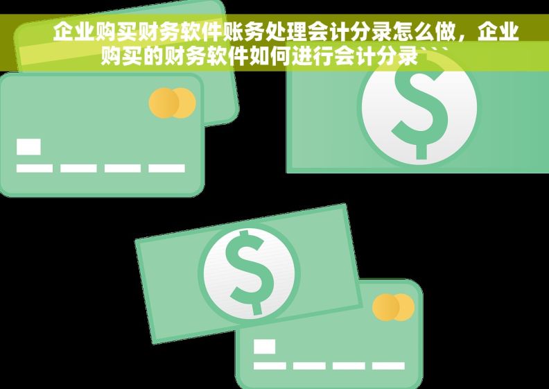     企业购买财务软件账务处理会计分录怎么做，企业购买的财务软件如何进行会计分录```
