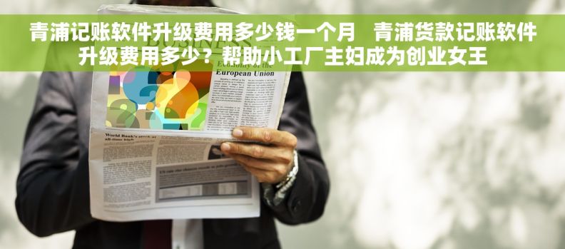 青浦记账软件升级费用多少钱一个月   青浦货款记账软件升级费用多少？帮助小工厂主妇成为创业女王