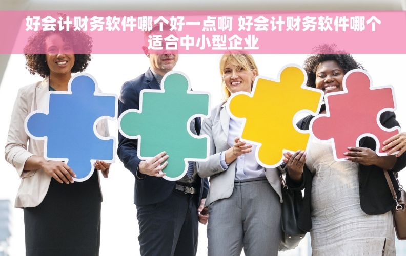 好会计财务软件哪个好一点啊 好会计财务软件哪个适合中小型企业