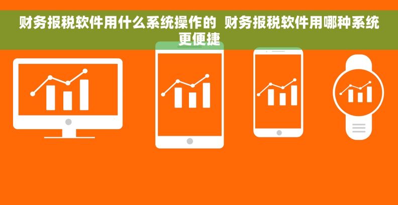 财务报税软件用什么系统操作的  财务报税软件用哪种系统更便捷