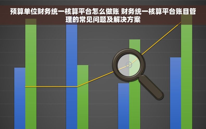 预算单位财务统一核算平台怎么做账 财务统一核算平台账目管理的常见问题及解决方案